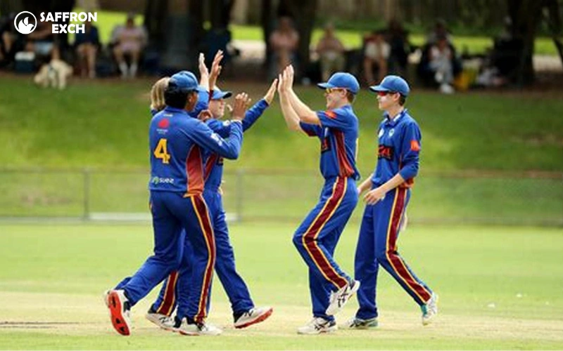 namibia national cricket team